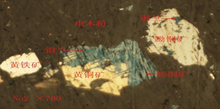 興業(yè)新聞01.jpg