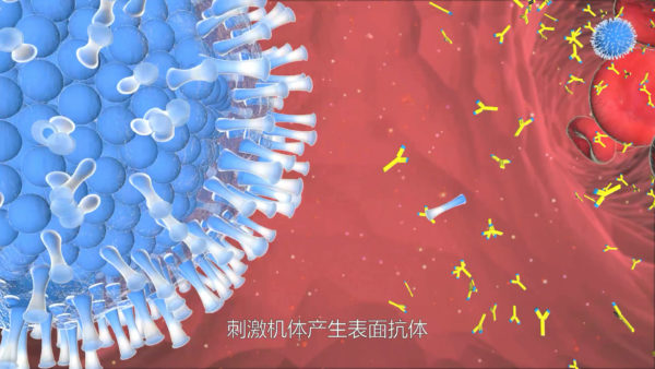 醫(yī)學(xué)三維動(dòng)畫