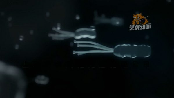 三維醫(yī)學(xué)動畫制作