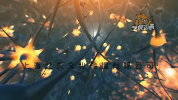 醫(yī)學(xué)三維動畫制作