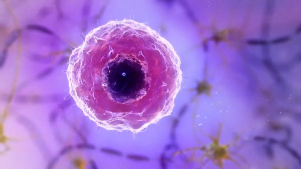 疫情動(dòng)畫(huà)視頻