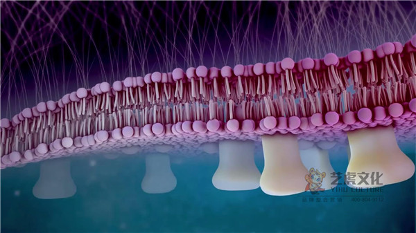 醫(yī)學(xué)動(dòng)畫(huà)作用